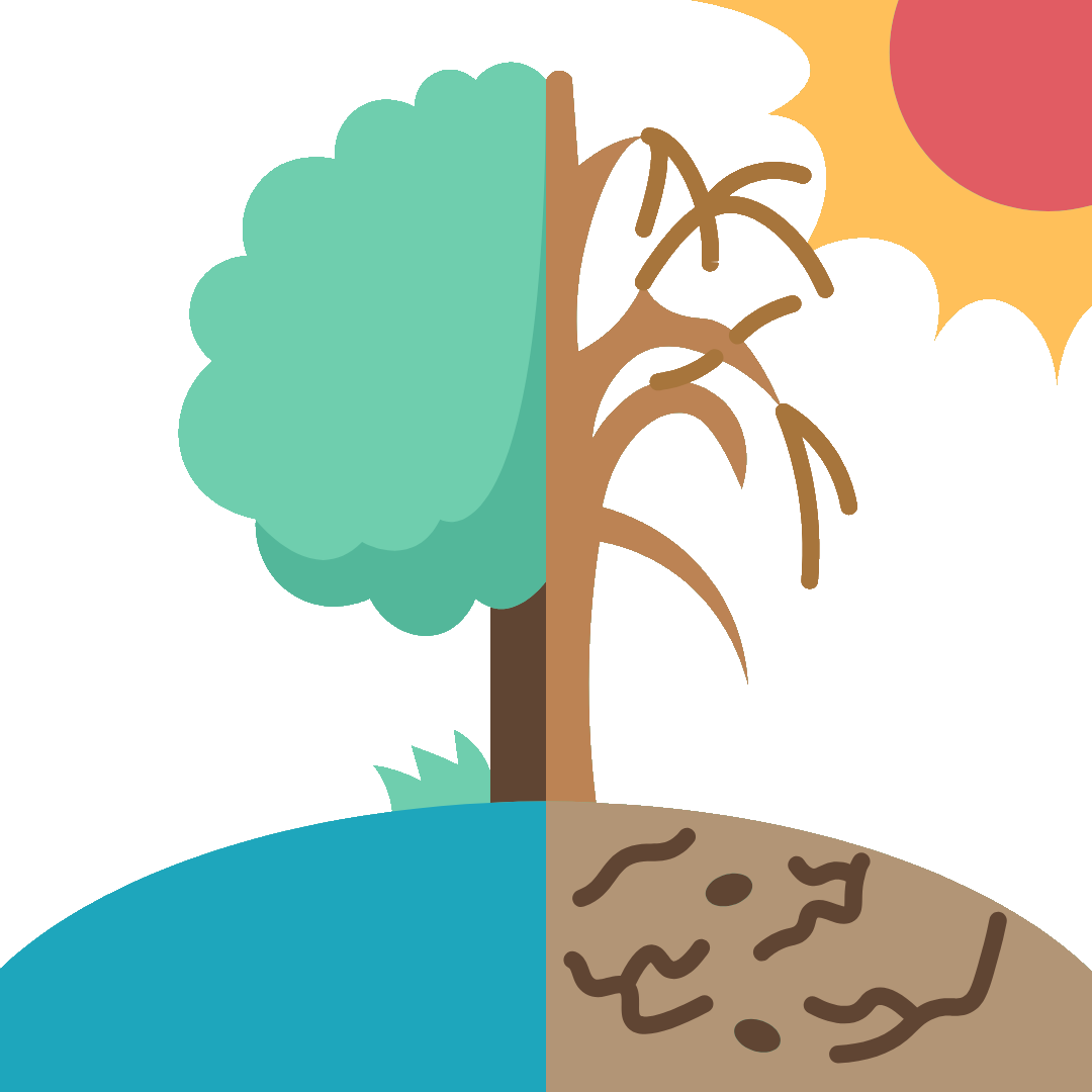 self discovery