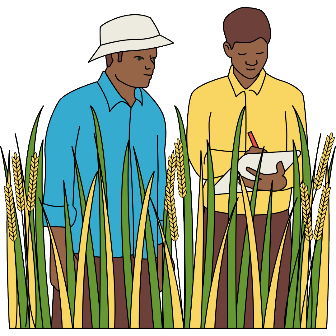 Food Security: 