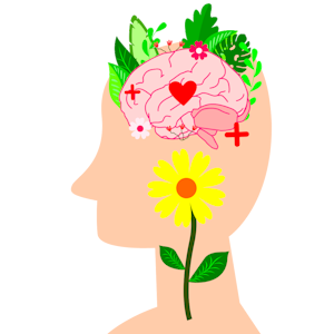 Mindful Consumption