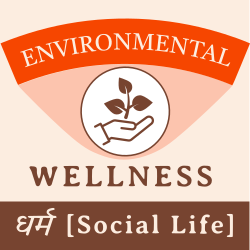 Check in with your Environmental Wellness: