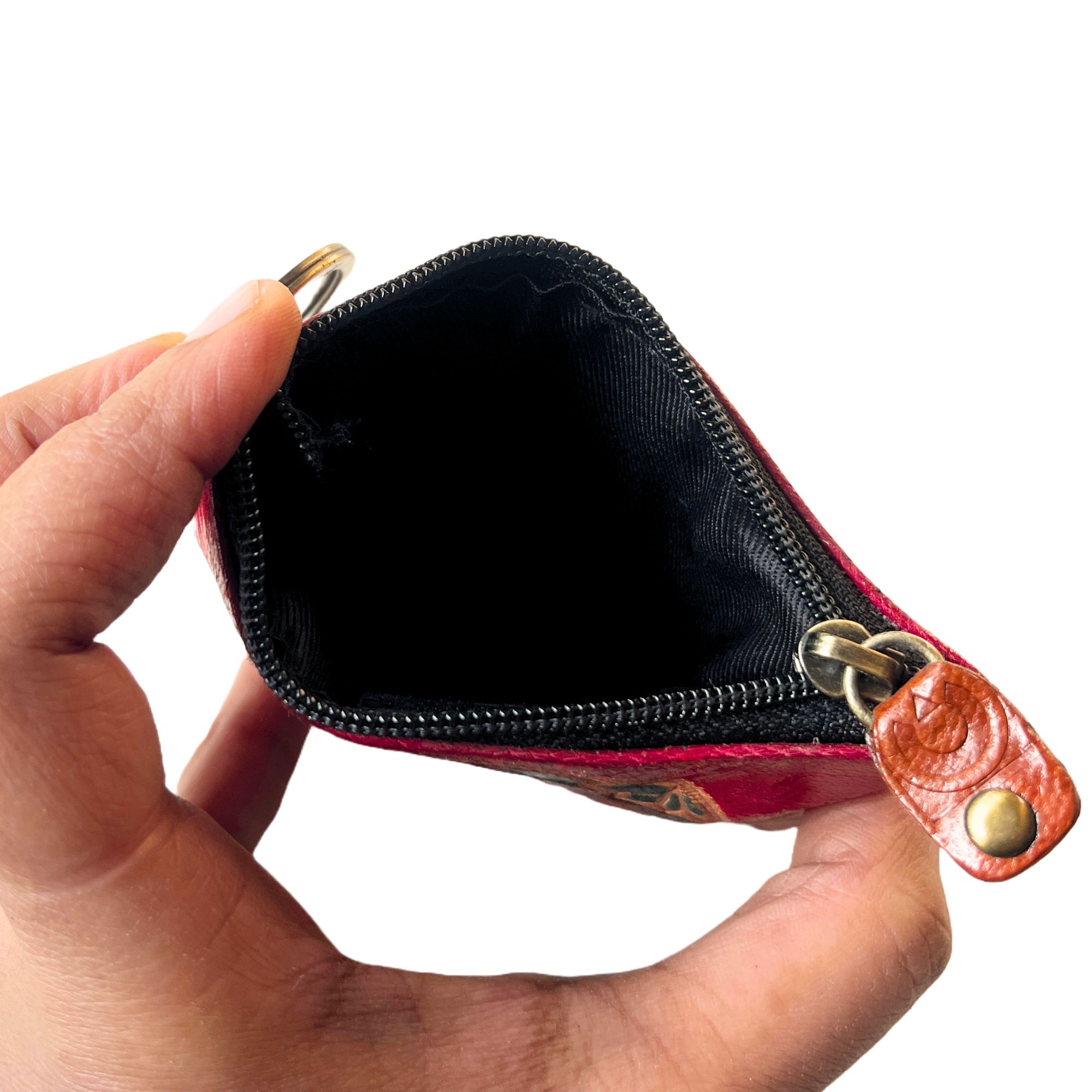 Lotus Conch1